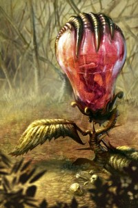 800x1200_7220_man_eating_plant_2d_fantasy_plant_picture_image_digital_art-570x855