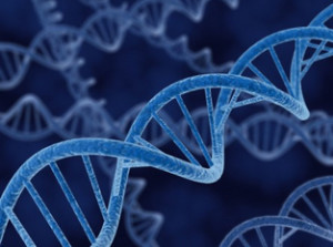DNA