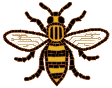 bee-no-text-header