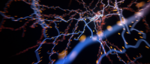 neural-network