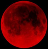 Under a bloody moon