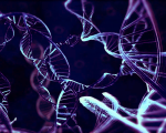 From hard-drive to DNA – the future of IT?