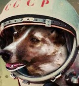 Woof! I have a place in space – Laika, the first mammal in orbit