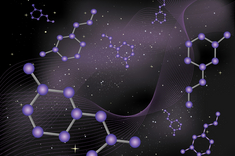Life in the universe – where to search for it