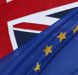 Costs of short-sighted politics – Brexit consequences for UK S&T