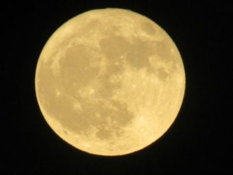 New Moon(s) out there