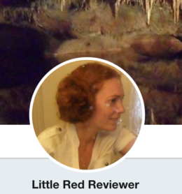 Guest Post -Andrea Jonhson and the Little Red Reviewer Blog’s Kickstarter