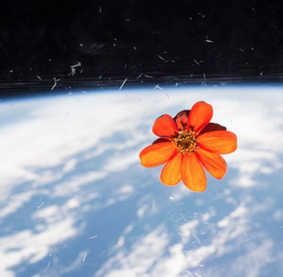 Our outer space citizens, right now