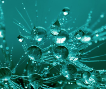 Frozen Wavelets- submission statistics