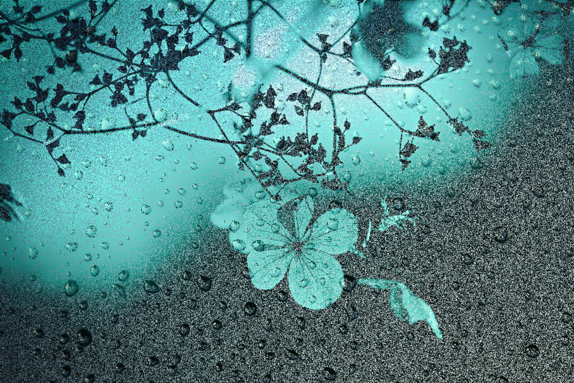 Frozen Wavelets presents: Watering Silk Flowers by Kelly Sandoval