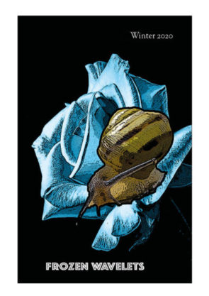 Frozen Wavelets Issue #2 is online