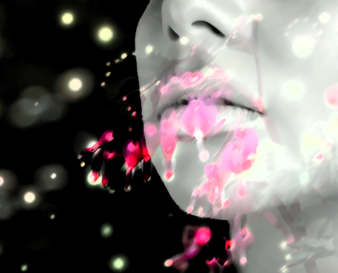 Frozen Wavelets presents: The Snow-White Heart by Marie Brennan