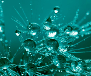 Frozen Wavelets. Updates on the latest submission round